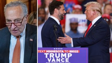 Chuck Schumer calls out Trump's ‘incredibly bad choice’ of JD Vance as running mate: ‘The choice may be one of the…’