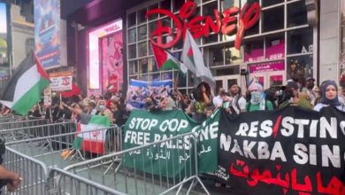 Anti-Israel protesters hold up portrait of Ismail Haniyeh, wave pro-terror flag in Times Square: Watch