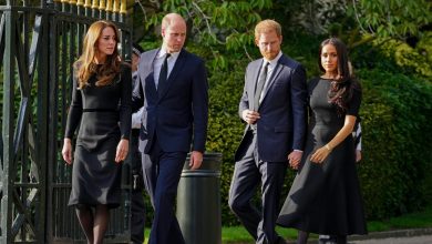 Prince William sent a ‘last-minute text’ to Prince Harry, Meghan and Kate asking for…