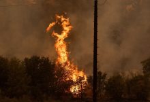 California's Park Fire grows to fourth-largest in US history, destroys over 540 structures and damages 50