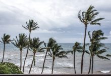 Florida braces for storm Debby: Tropical storm warnings & flood watch issued