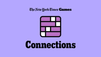 NYT Connections Today: See hints and answers for August 3, 2024