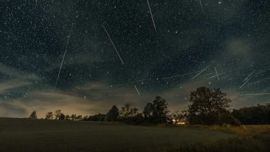 Perseid meteor shower 2024: When, where and how to see shooting stars in US