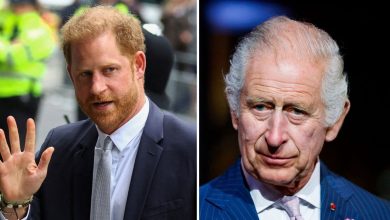 Prince Harry believes King Charles refusing to intervene in ongoing security row despite having the ‘power’: report