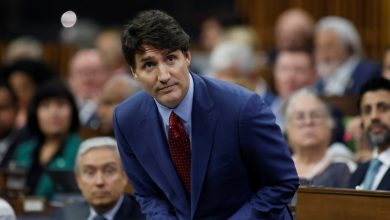 Justin Trudeau scraps down Canada's one-third of international student permits citing…