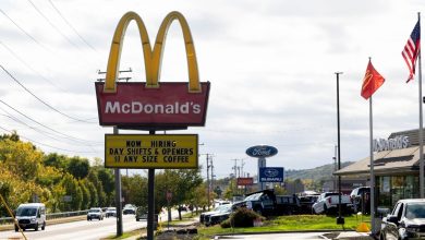 McDonald’s brings the Chicken Big Mac to the US: What to expect