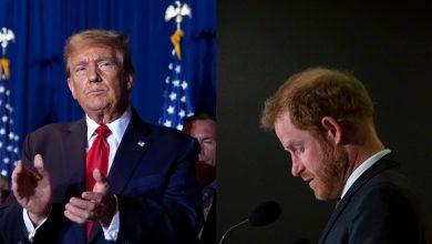 Donald Trump may let Prince Harry go clean with ‘any domestic crimes’