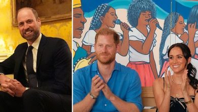 William ignoring rift with Harry and Meghan as Prince of Wales ‘is emphasising the purpose of…’