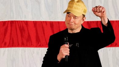 Elon Musk emerges as power player amid US government shutdown crisis