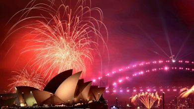 New Year 2025: From Auckland fireworks to Times Square's iconic ball drop