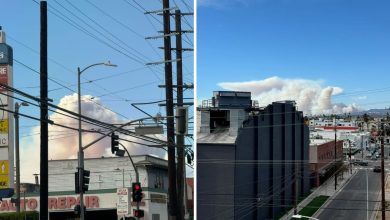 Indian-origin chef who cooked for the Ambanis captures ‘apocalyptic’ California wildfire pics from his window