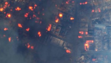 Satellite images show wildfires raging unchecked in Los Angeles