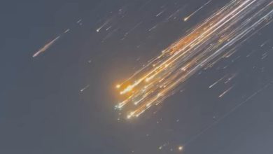 SpaceX Starship destroyed during 7th test flight; Elon Musk reacts, posts video