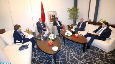 Culture Minister Holds Several Meetings with Arab Peers