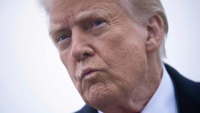 Controversial Minnesota bill seeks to classify 'Trump Derangement Syndrome' as a mental illness