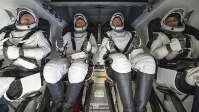 How are Sunita Williams, Butch Wilmore rebuilding their bodies? Here's what's next for NASA astronauts after homecoming