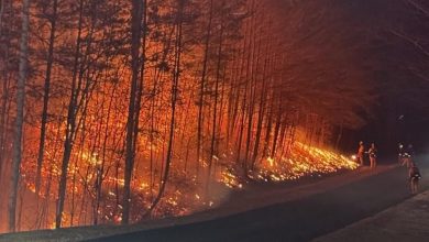 Mandatory evacuation ordered in North, South Carolina over raging wildfires weeks after California blazes