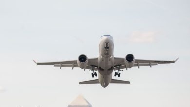 German passenger arrested for masturbating during Swiss Air flight: Report
