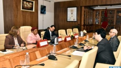 Lower House Deputy Speaker Holds Talks with Member of African Commission on Human & Peoples' Rights