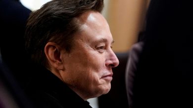 Elon Musk under federal investigation? Talk show host makes big claim