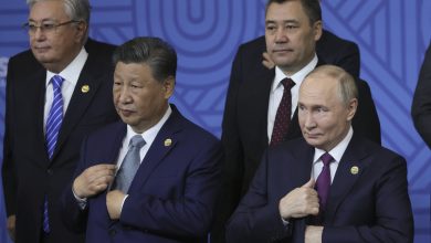 China's Xi Jinping to pay official visit to Russia