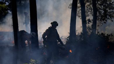 Record snowmelt in western US likely to trigger droughts, wildfires
