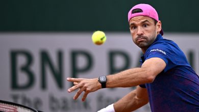 Why has Grigor Dimitrov withdrawn from French Open 2025 match against Ethan Quinn? Here's what went wrong