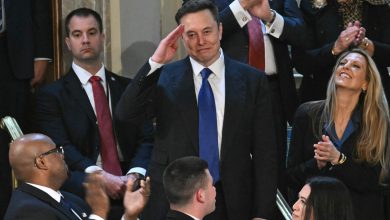 Where is Elon Musk from? DOGE exit raises questions on world's richest man's citizenship