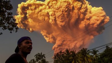 Indonesia: Bali flights cancelled after volcano eruption