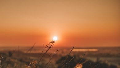 Summer Solstice 2025: Discover Freebies and discounts from Kroger, Pizza Hut, and more