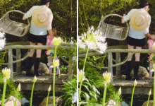 Meghan Markle’s new Instagram video features rare appearance by daughter Lilibet