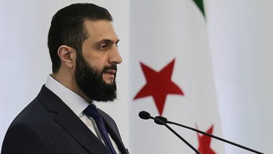 After war, Syria, Lebanon peace deals with Israel needed: US envoy