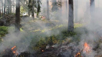 Chelan, Washington wildfire: Firefighters respond to blaze off Apple Acres Road and Antoine Creek Road