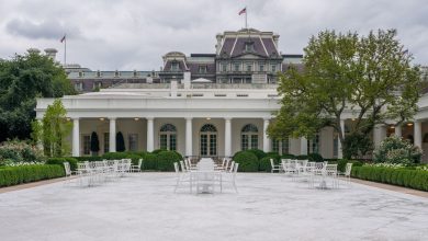 Trump to replace White House Rose Garden lawn with concrete; netizens call it 'embarrassing'