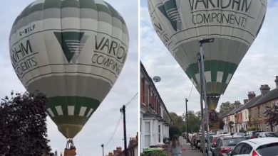 Watch: Dog walkers, locals rush to help hot air balloon land safely in Bedford street