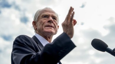 Trump aide Navarro rages at X again, calls India's Russian oil purchases 'blood money'
