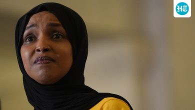 Who is Ilhan Omar's husband Tim Mynett and when did she come to the US? Details emerge