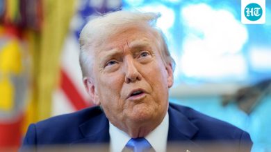 H-1B fees hike: How much real dollars the American taxpayer stands to get after Trump's move?