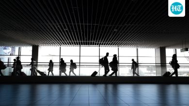 4Chan users raising US-India air fares amid Trump's H-1B rule change? What to know about 'Operation Clog the Toilet'