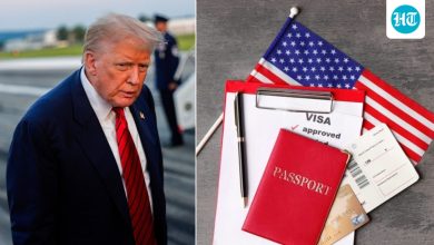 $100,000 H-1B visa fee takes effect today, these are the categories not impacted | Full list
