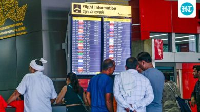 'H-1B slave'...'sick mother or US': Indian, other workers scramble after Trump crackdown