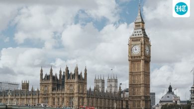 UK to launch digital ID scheme to curb illegal migration: ‘Will be mandatory for…’