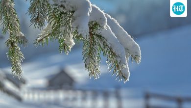 Winter weather advisory issued for Alaska, Midwest as 10 inches of snow expected