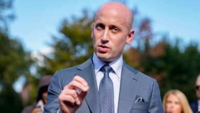 Does Trump have plenary authority? Stephen Miller freezes before camera in ‘awkward’ live TV moment