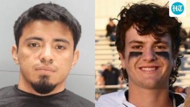 Who is Rosali Fernandez-Cruz? Illegal immigrant got 1 year jail for killing college student in hit-and-run